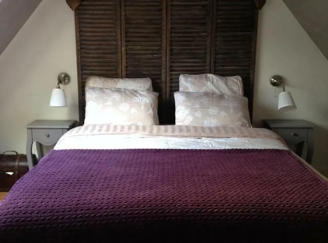 Camelia Willa Bayeux